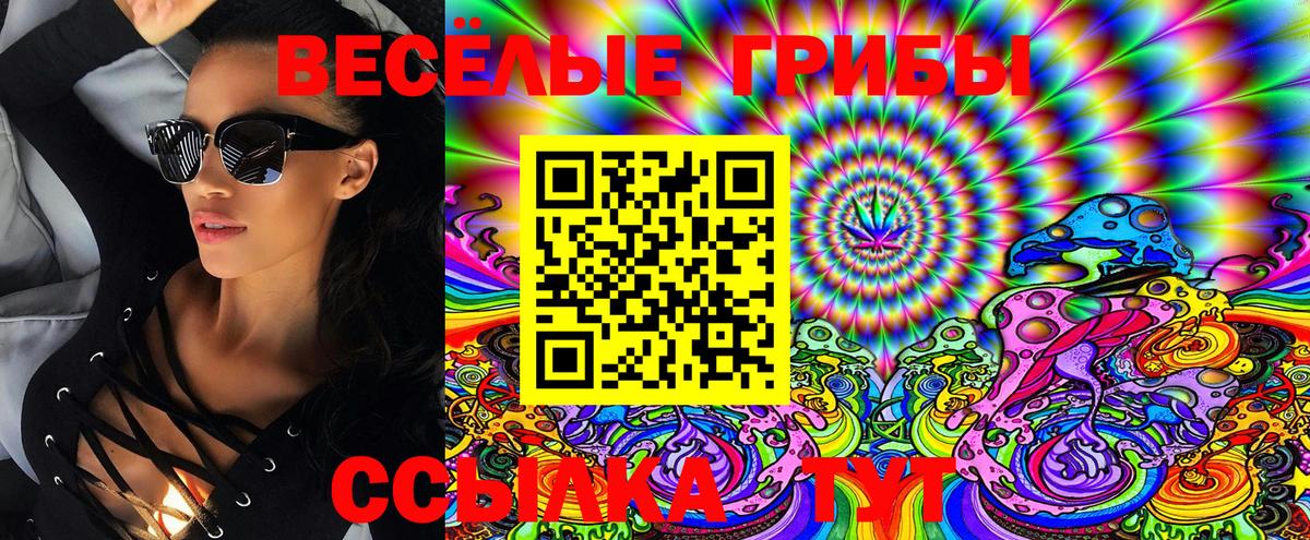 Псилоцибиновые грибы GOLDEN TEACHER  Вход с VPN  Галлюциногенные грибы Magic Shrooms  Лысьва 